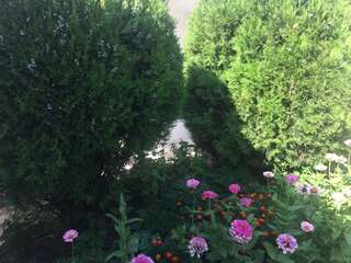 Гостевой дом Apartments OldTown Подгорица-5